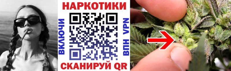 Виды наркотиков купить Балахна Alpha-PVP  МЕТАДОН  КОКАИН  Галлюциногенные грибы  ГАШ  Меф мяу мяу  Codein  гидра как войти  Каннабис 