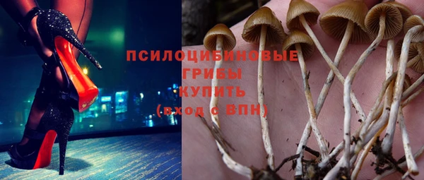 а пвп мука Абаза