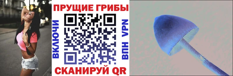 МЕГА как войти Балахна Галлюциногенные грибы Magic Shrooms